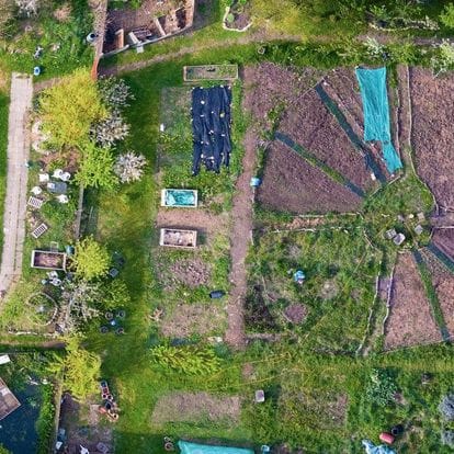 Birdseye Photograph Gardening Plot